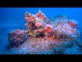 Malta Diving – HMS Stubborn Wreck 