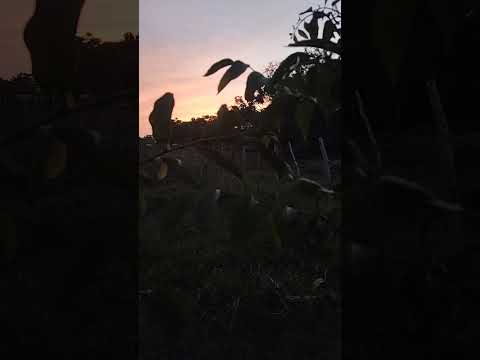Atardecer en Los Cedros, Cotorra, Córdoba