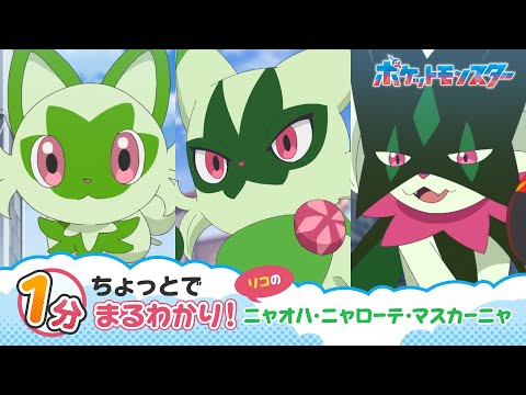 【公式】アニメ「ポケットモンスター」｜1分ちょっとでまるわかり！リコのニャオハ・ニャローテ・マスカーニャ