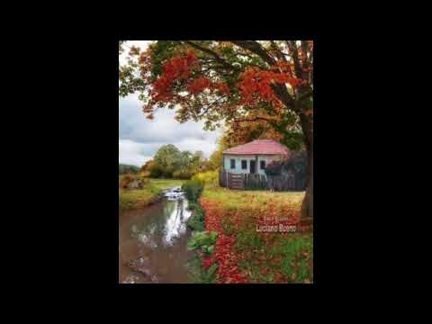 Programa: Caminho da Roça - 26/02/26 - Parte 1 - Apresentação: Paulinho