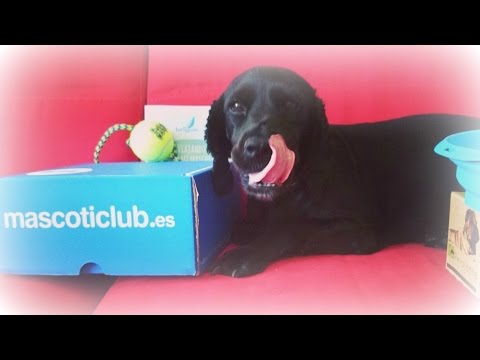 😍 AZA 💕 con su mascoticlub 🐾🐾