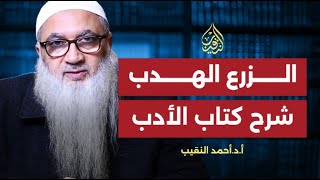 صورة الزرع الهدب شرح كتاب الأدب (باب الساعي على المسكين) أ.د أحمد النقيب