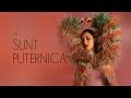 Andra - Sunt Puternică Andra - Sunt Puternică