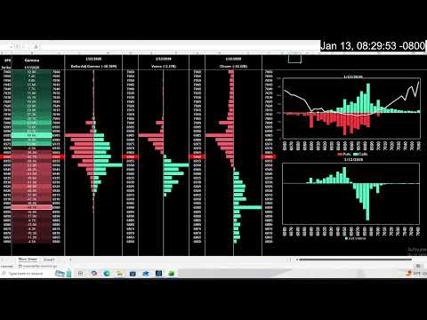 Cloutseeker SPX Gamma - 1/13/2026