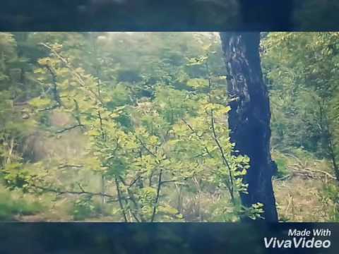 El ojo de agua Los tucanes de tijuana