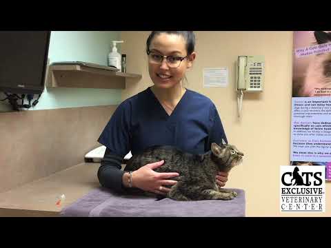 How to Administer Subcutaneous Injections