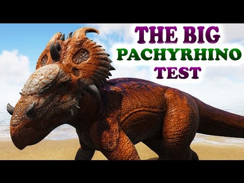 The BIG PachyRhinoSaurus TEST PVP+ All Passive Creatures Ark Survival Evolved Pachrhino gameplay