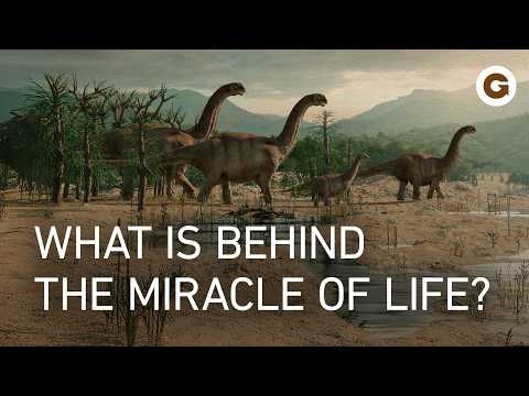 Great Moments in Evolution: From Single Cells to Complex Life | Full Documentary