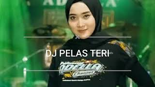 Download lagu DJ PELAS TERI - YENI INKA #adella #yeniinka #pelasteri mp3 Download lagu DJ PELAS TERI - YENI INKA #adella #yeniinka #pelasteri mp3