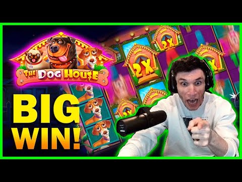 TOP 3 THE DOG HOUSE MW🐶WINS OF THE WEEK BIG WIN !!!!(ft.ROSHTEIN Trainwreckstv,ClassyBeef &more)