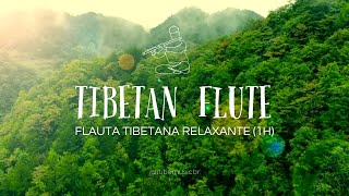 Tibetan Flute Music for Deep Relaxation & Meditation | Flauta Tibetana Relaxante para Meditar (1H)