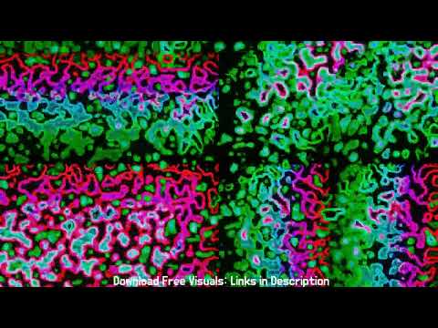 VJ Loop DJ Club Visual Opener Stage Background Animation Visualizer Type Beat Artwork "509"