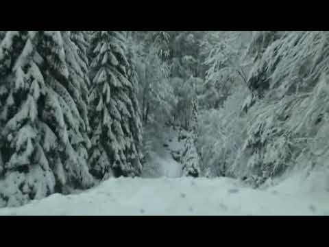 Peisaj mirific pe Cheile Jietului