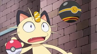 Pikachu Almost Caught Meowth Funny Moment 😁 [Hindi] |Pokémon XY Kalos Quest Season 18|