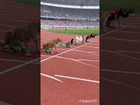 Guess Who Won the Race 🏁 #shorts