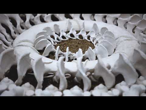 Sally de Courcy The Colour of Mourning for Fresh Air Sculpture