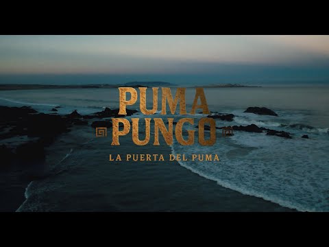 Altiplano de Chile | PUMA PUNGO | Videoclip Oficial