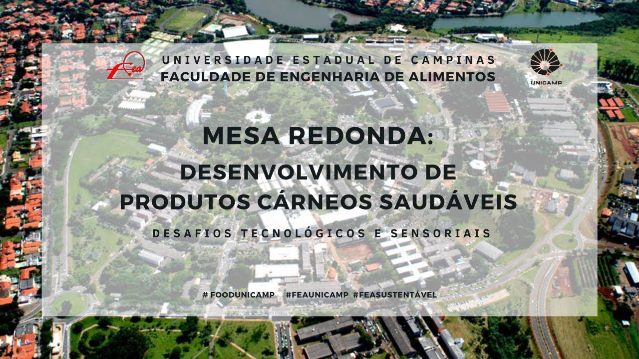 CONEXÃO FEA - Mesa Redonda online - Desenvolvimento de produtos cárneos saudáveis
