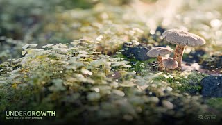 Undergrowth Biome Pack video thumbnail