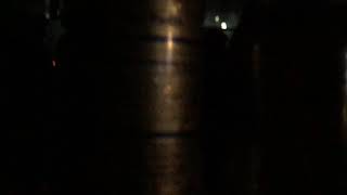 Badflower “Animal”