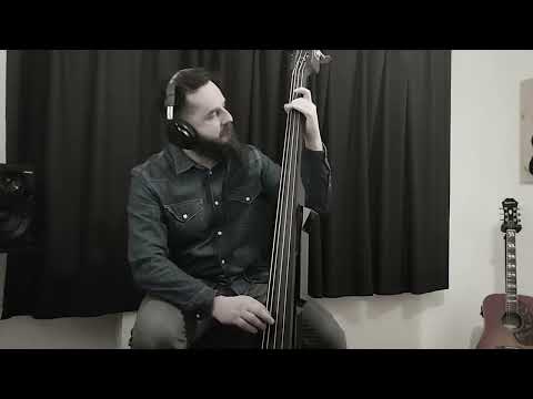 Don't cry for Louie - Vaya Con Dios (upright bass cover)