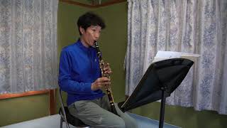 Download lagu バルトーク　ルーマニア民族舞曲２　広島交響楽団クラリネット奏者高尾哲也のオーケストラスタディ mp3