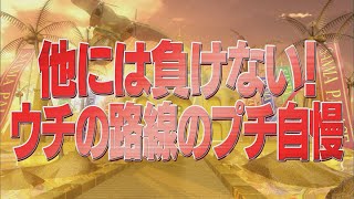 他には負けない！ウチの路線のプチ自慢【踊る!さんま御殿!!公式】