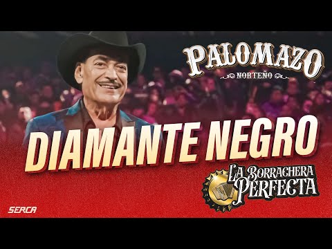 Palomazo Norteño / Raúl Hernández : Diamante Negro ( Video Oficial )