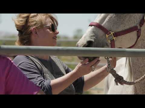 Play Video Youtube Video