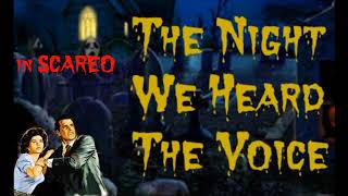 THE NIGHT WE HEARD THE VOICE - Eric Nagle & Garrett Punch