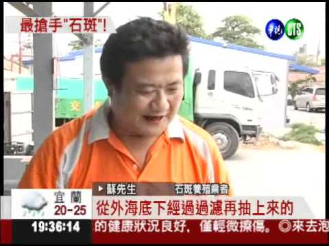 洗活水SPA 永安石斑超搶手!