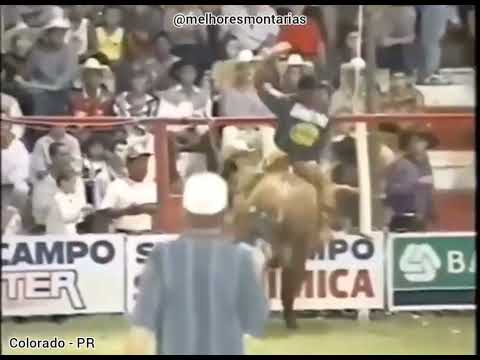 Valmir Nonato x Xodó - Rodeio de Colorado