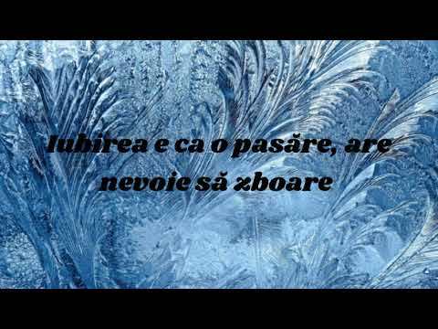 Frozen - Madonna (versuri română)