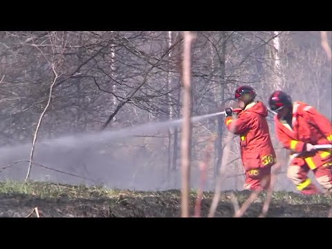 Varning för gräsbränder - Nyheterna (TV4)
