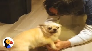 Pup sees her dad after two months