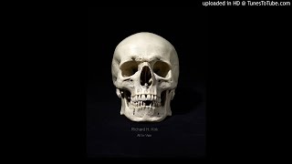 Richard H. Kirk ‎– All In Vain
