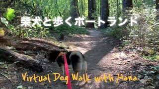 【Hana369】Hana says “Vote”. 平和に一票