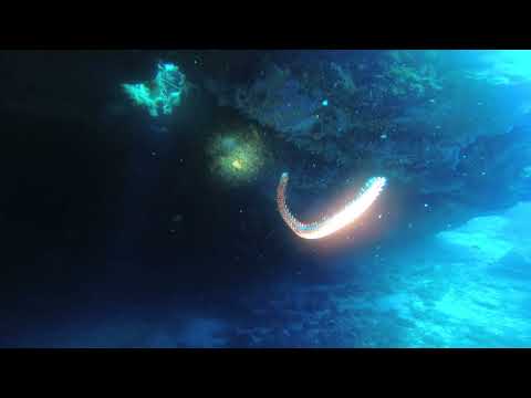 2020 Ustica island - Tour Recap