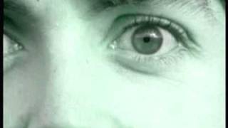 I Am The Walrus Reversed