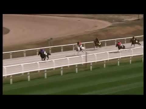 kincsem park póni futam - 2021.09.11