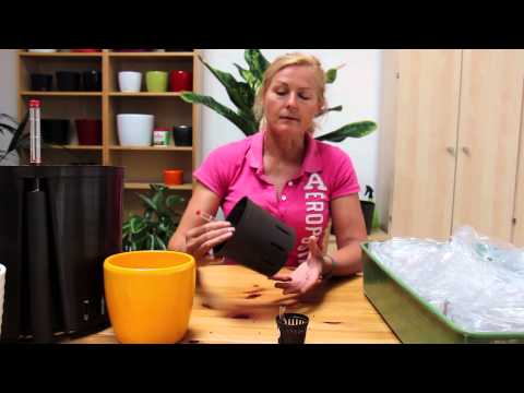 HomeTrend24 - 03 Granulate