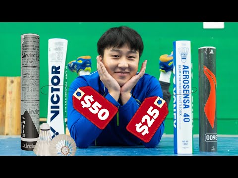 Which Shuttlecocks to BUY & AVOID in Badminton
