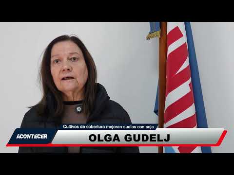 Marcos Juárez: Cultivos de cobertura mejoran suelos con soja. Más detalles