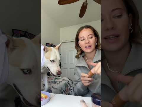 Yuki is clearly not over his ex girlfriend lmao #dog #dogshorts #dogmom #doglover #makeup #grwm