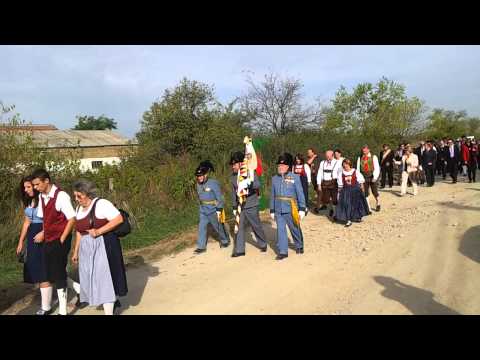 Fanfara caransebes defilare