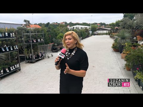 Suzanin izbor S04E192 – Urban garden