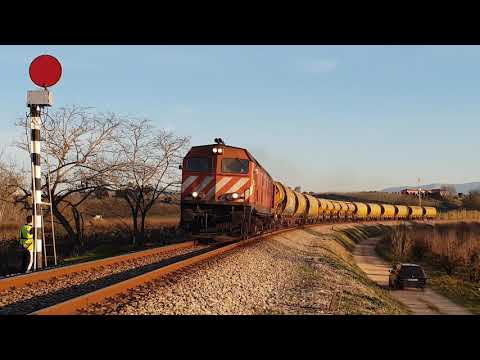 Comboio Especial n.º 95219 - Bombarral