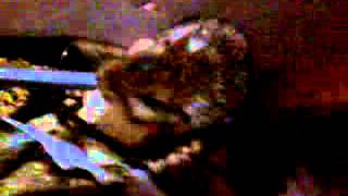 Дом для тушканчика