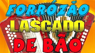 Forrózão lascado de bão, xote, vanerão, nerão, brasilian, melody, song show, mix