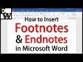 How To Insert Footnotes And Endnotes In Microsoft Word